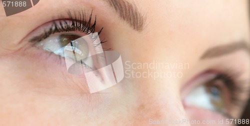Image of green eye, close-up
