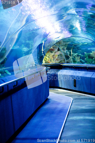 Image of Aquarium