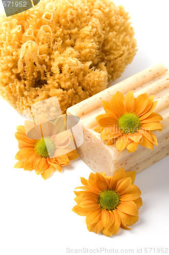 Image of natural sponge, soap and flowers