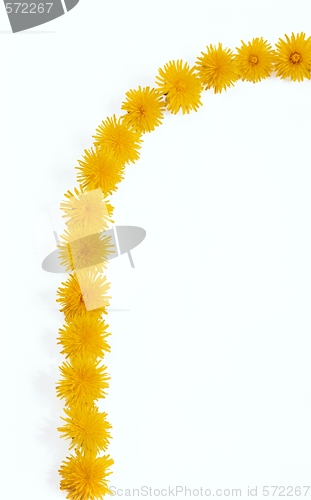 Image of Dandelion - frame