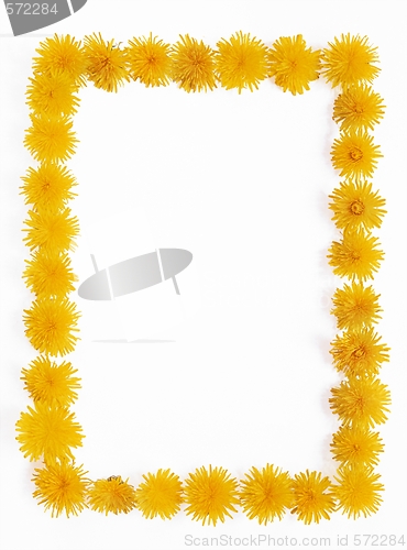 Image of Dandelion - frame