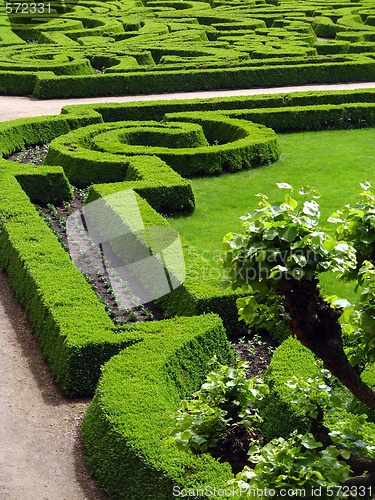 Image of Park of castle - Czech republic Dobris