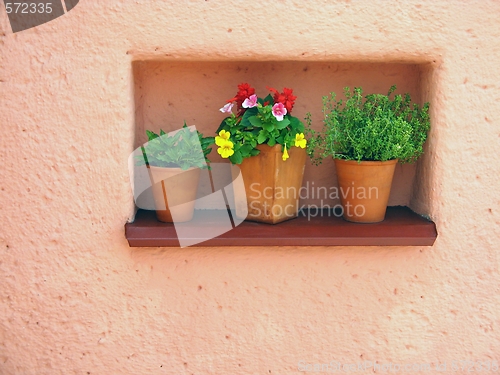 Image of Orange wall and flowers