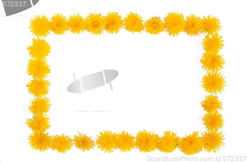 Image of Dandelion - frame