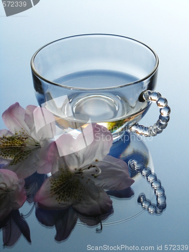 Image of Rhododendron and glass pot