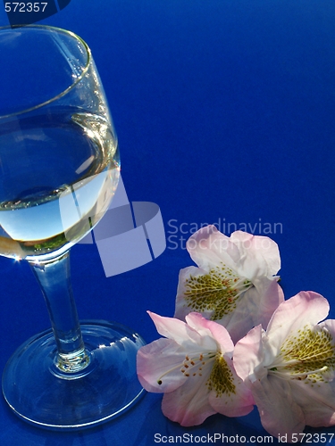 Image of laurel and glass of water