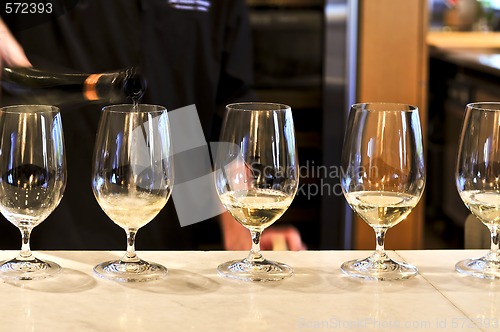Image of Wine tasting glasses
