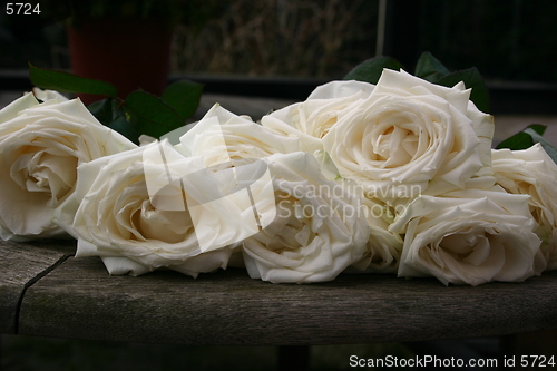 Image of A bunch of roses