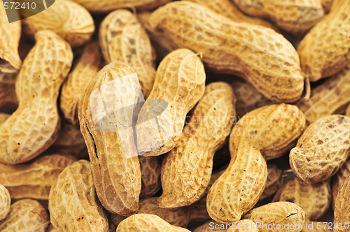 Image of Peanuts