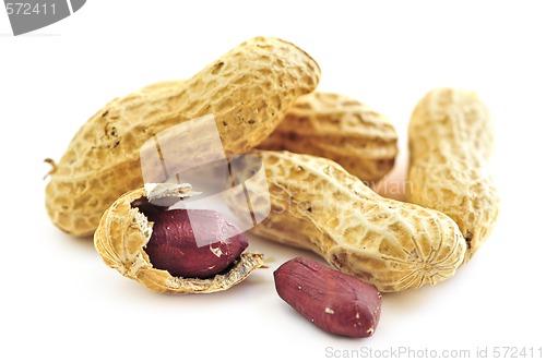 Image of Peanuts and shells