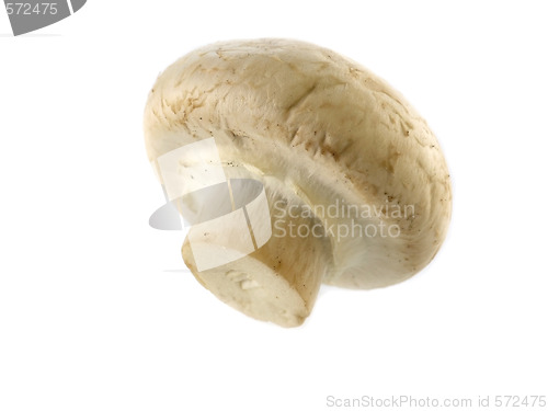 Image of fresh champignon 