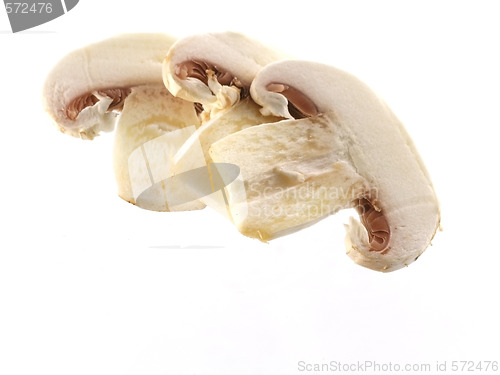 Image of fresh champignon 