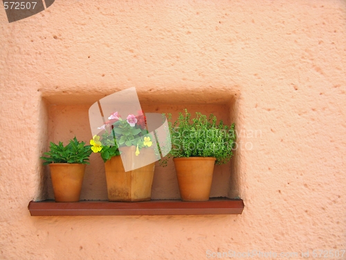 Image of Orange wall and flowers