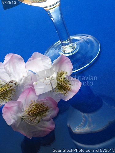 Image of laurel and glass of water