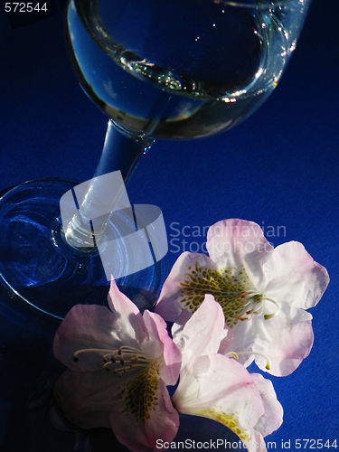 Image of Rhododendron and glass over blue background