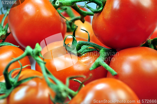 Image of Tomatoes