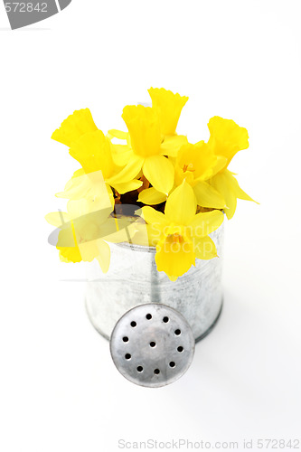 Image of spring