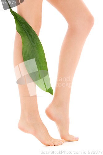 Image of female legs with green leaf