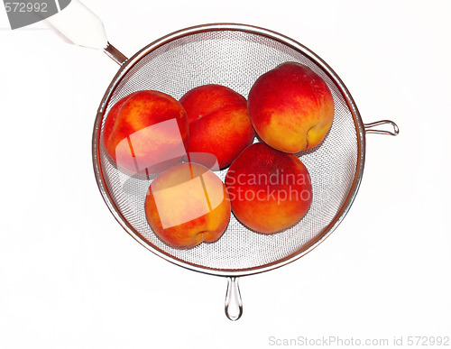 Image of Peaches in colander isolated