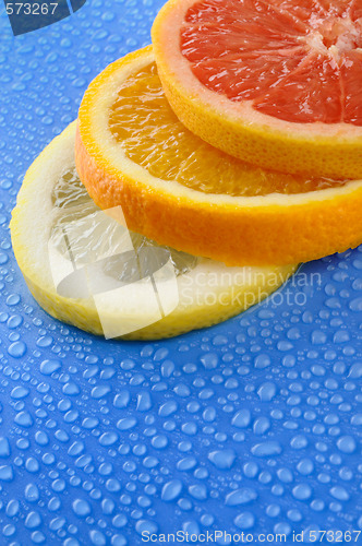 Image of Slices od orange, lemon and grapefruit