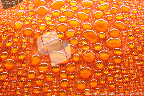 Image of Water drops