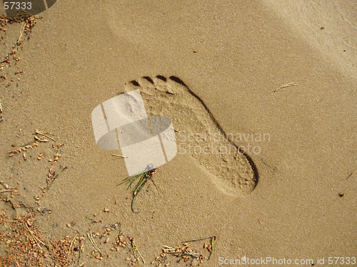 Image of Footprint in the sand