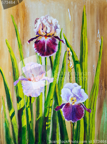 Image of Irises