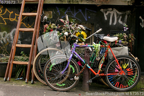 Image of Bikes with Flowers