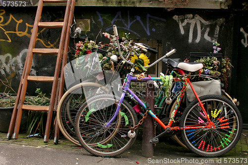 Image of Bikes with Flowers