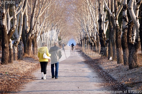 Image of man and woman walking in park