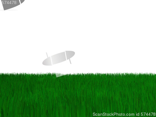 Image of Grass