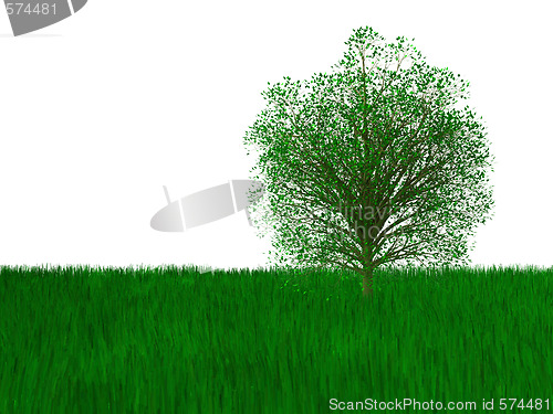 Image of Green tree