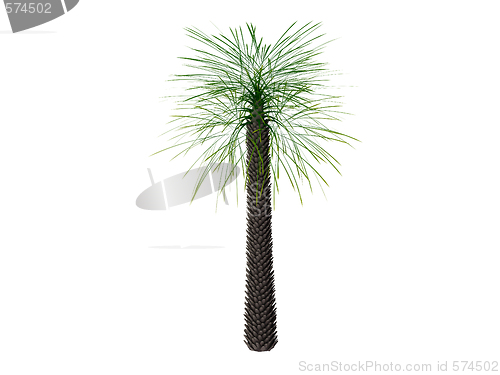 Image of Palm 3d