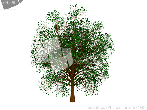 Image of Green tree