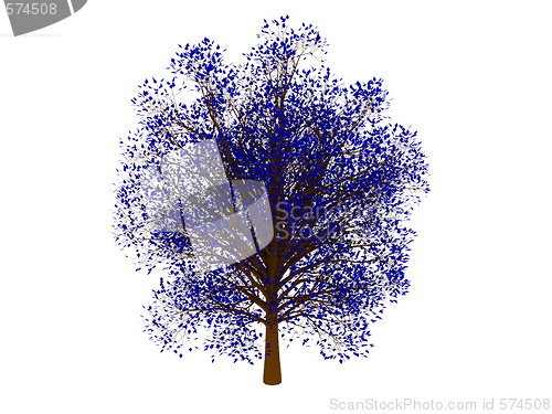 Image of Blue tree