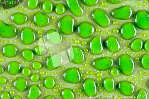 Image of Water drops