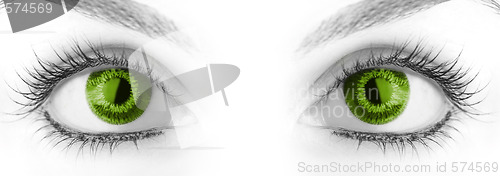 Image of Beauty big eye.
