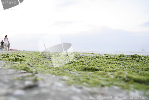 Image of Summertime at the beach.