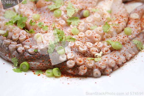 Image of octopus