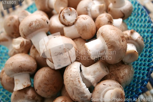 Image of fresh mushrooms