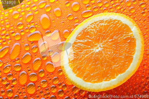 Image of Lice of orange citrus