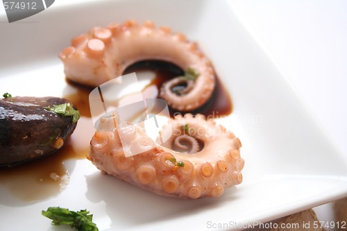Image of Octopus