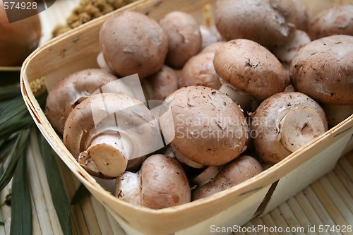 Image of brown mushrooms