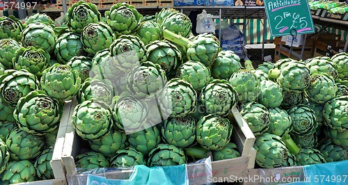 Image of Fresh Artichokes