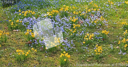 Image of Spring field