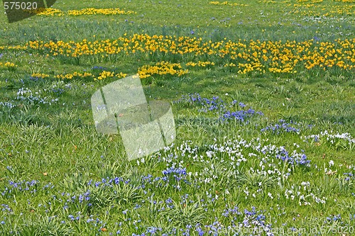 Image of Spring field