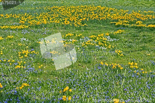 Image of Spring field