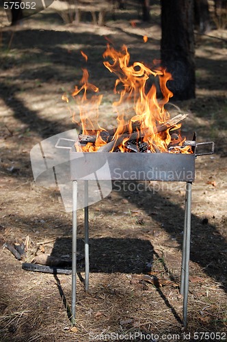 Image of burning fire wood