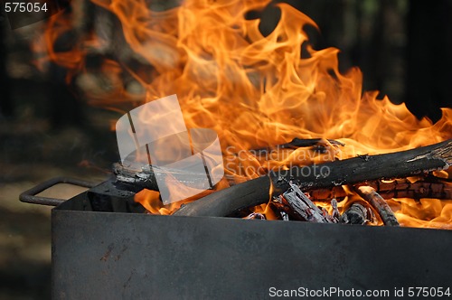 Image of burning fire wood