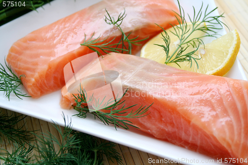 Image of fresh salmon